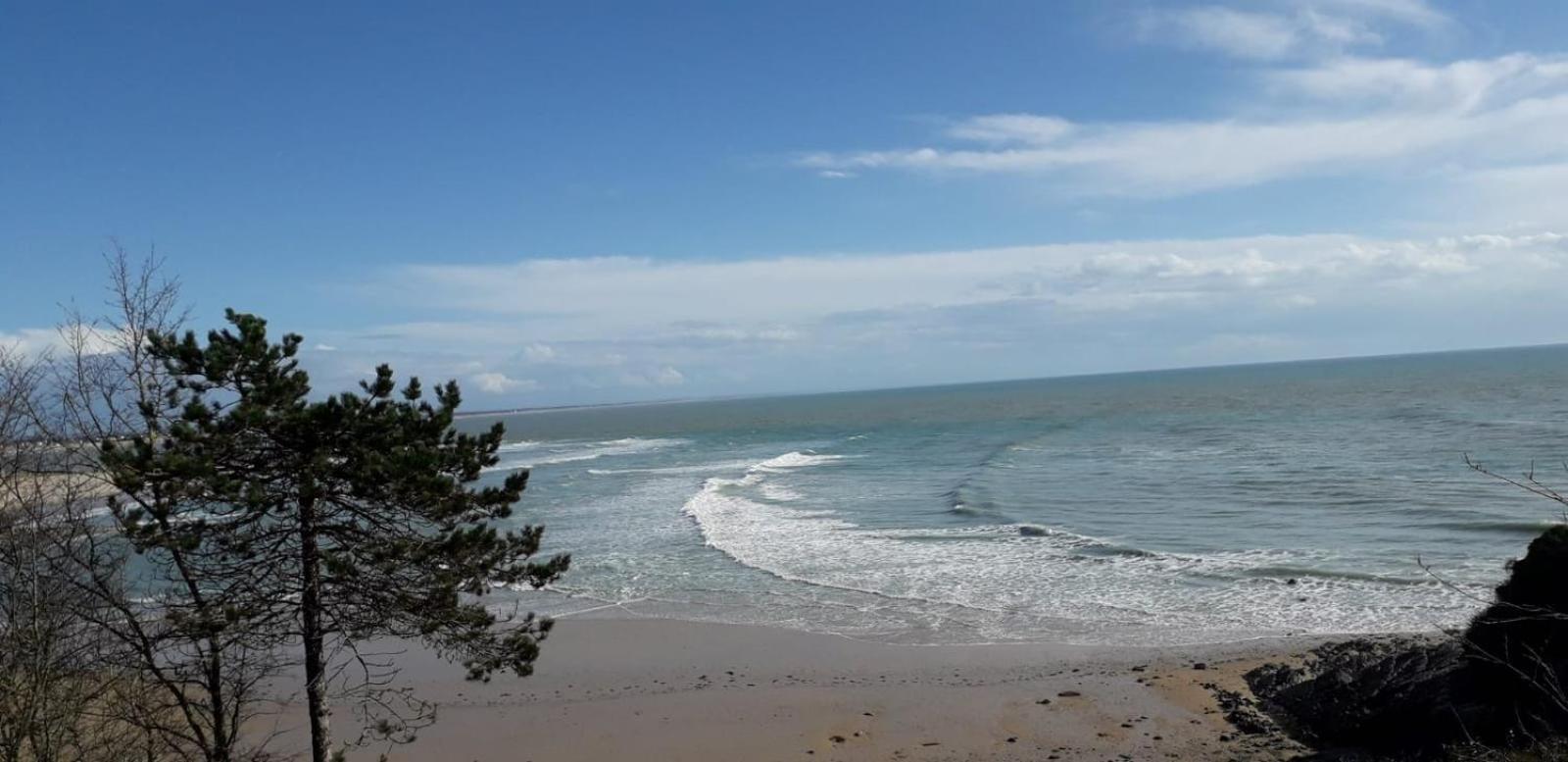 Les Sables D'Or - Joli T3 200M De La Plage Barneville-Carteret Kültér fotó